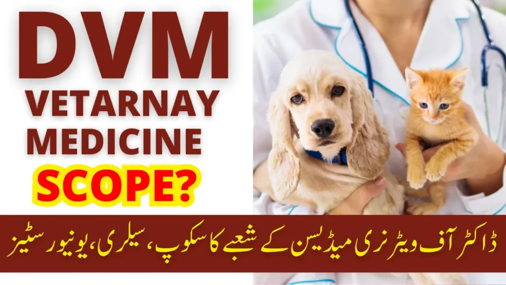 Scope of DVM in Pakistan